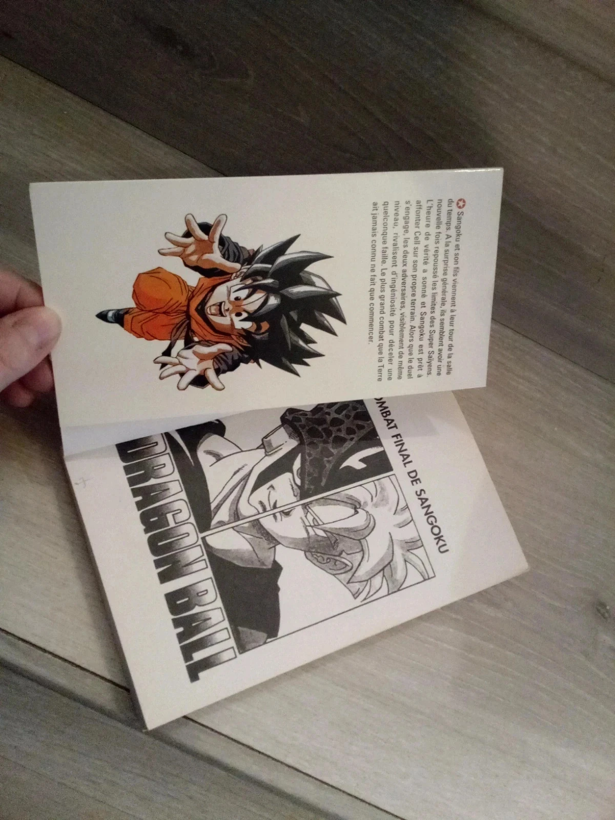 Dragon ball 34 – photo 4
